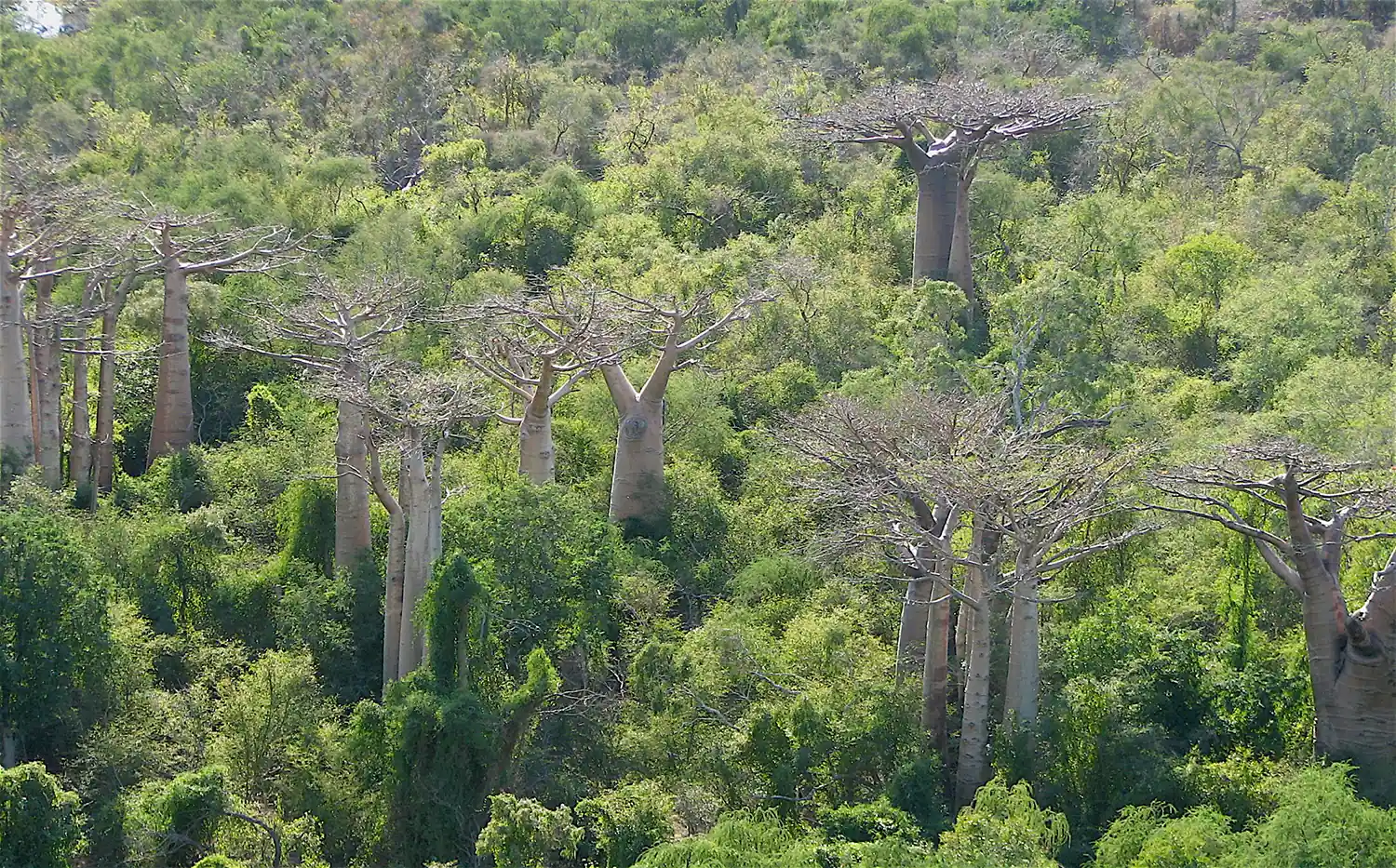 Vue de la dune de mite